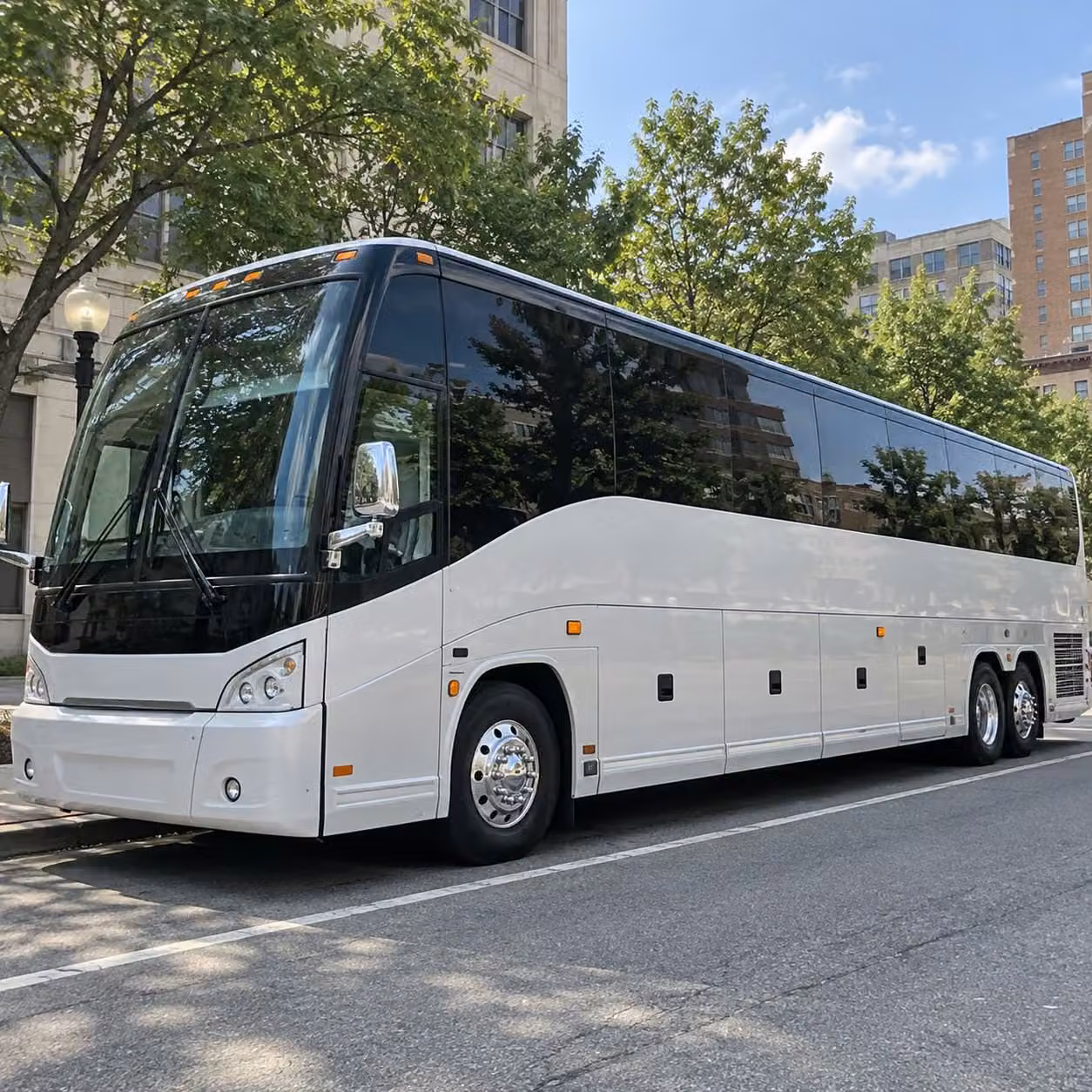 walnut creek youth sports team transportation to tournaments across the bay area